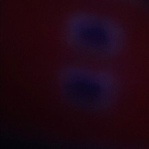 Meet your Posher, Parker